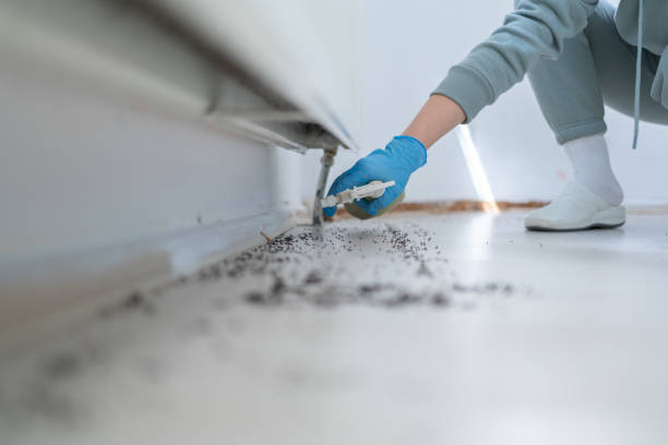 Best Local Pest Control Services  in Manti, UT